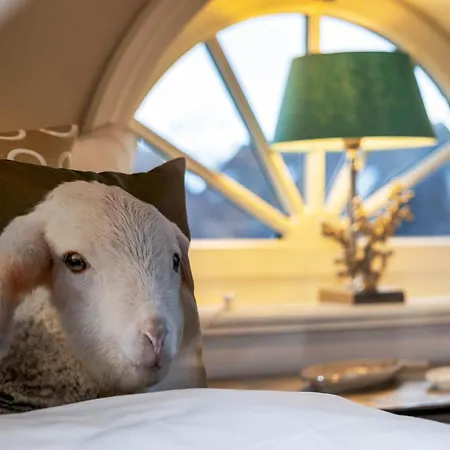 Casa vacanze Haus Sylter Traeume *